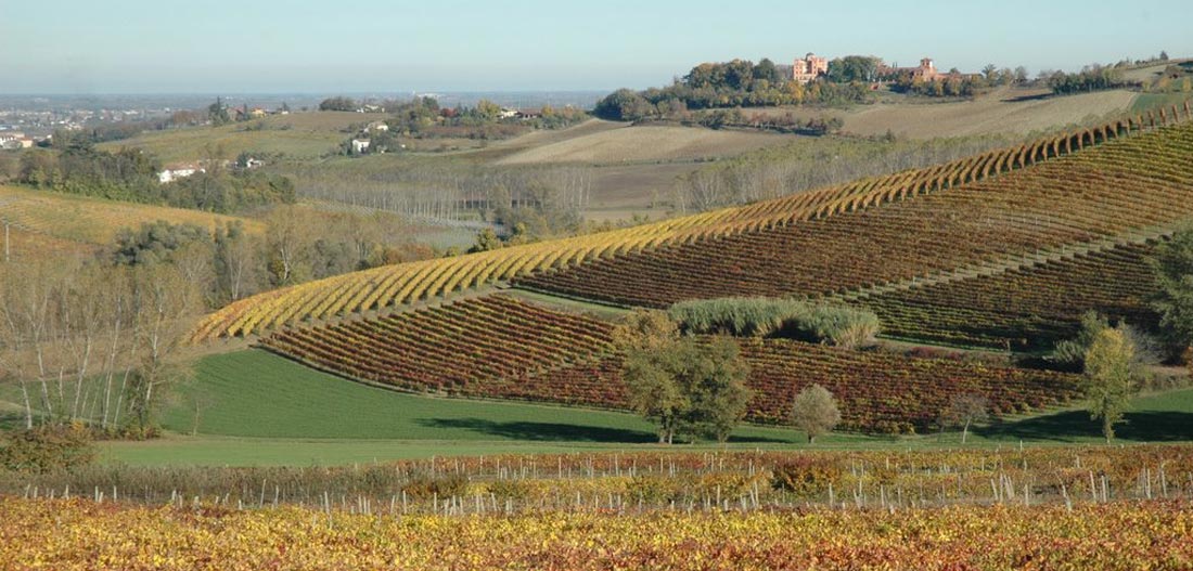 casale-monferrato-01